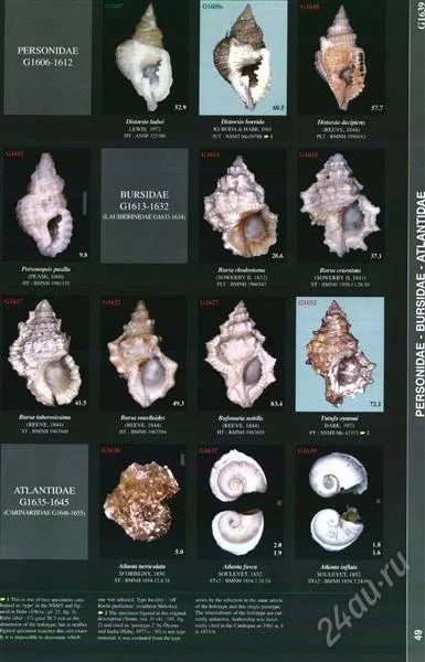 Лот: 2229372. Фото: 1. Catalogue and bibliography marine... Другое (литература, книги)