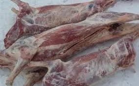 Лот: 4815555. Фото: 1. Оленина в тушах свежайшая. Мясо, птица, яйцо
