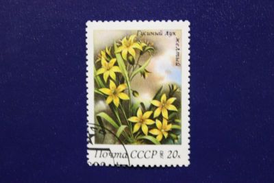 Лот: 6849539. Фото: 1. Почтовая марка №4012 в коллекцию. Марки