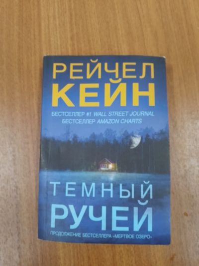 Лот: 24918961. Фото: 1. Рейчел Кейн Темный ручей 2020. Художественная