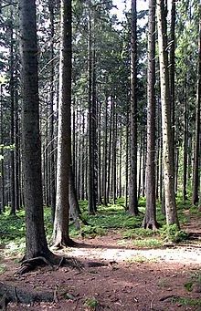 Лот: 17358380. Фото: 1. Куплю дачу. Дачи