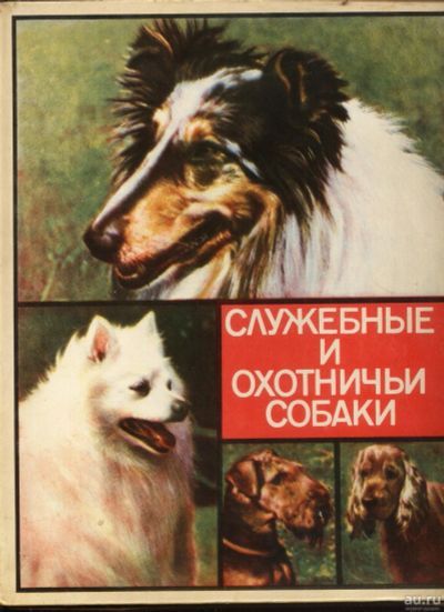 Лот: 16956412. Фото: 1. коллекционный набор спичечных... Бутылки, пробки, этикетки