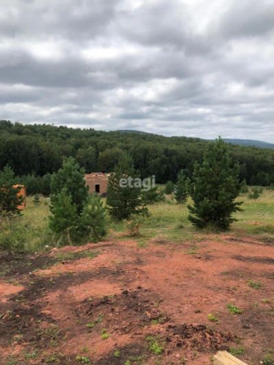 Лот: 25294823. Фото: 1. участок , ДНТ Чёрная Сопка ДНТ... Земельные участки