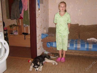 Лот: 2772747. Фото: 1. продам диван. Кресла, пуфы