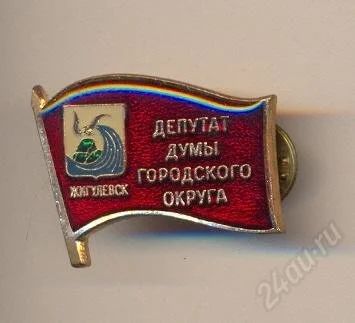 Лот: 2567265. Фото: 1. Депутат думы городского округа... Другое (значки, медали, жетоны)