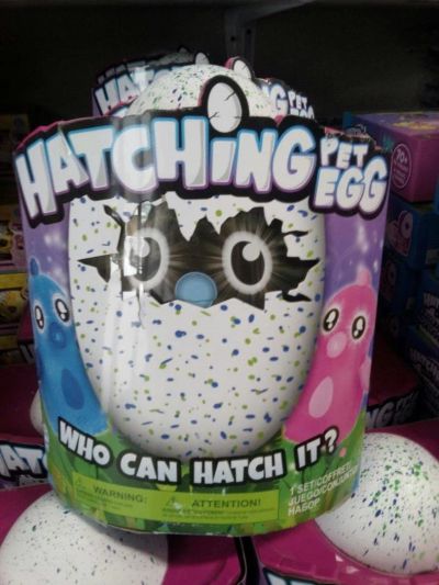 Лот: 11079308. Фото: 1. Игрушка Hatching Pet Egg самовылупляющийся. Развивающие