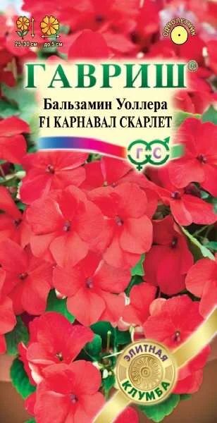 Лот: 11024606. Фото: 1. Бальзамин Карнавал Скарлет Уоллера... Садовые цветы
