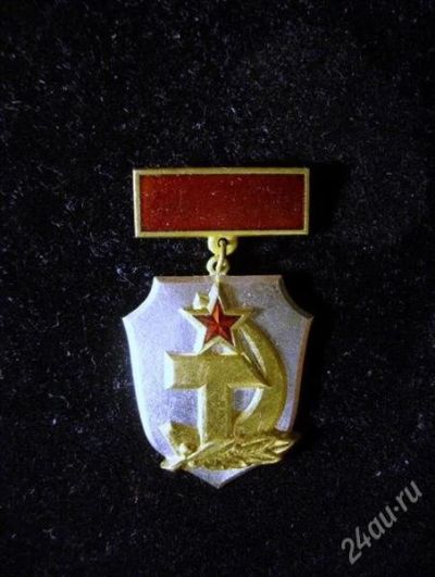 Лот: 2040557. Фото: 1. Знак "За активную работу в органах... Другое (значки, медали, жетоны)