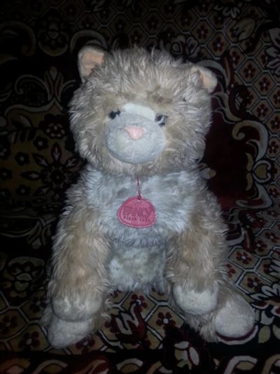 Лот: 8156790. Фото: 1. кот. Другое (дети растут)
