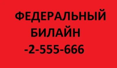 Лот: 10084783. Фото: 1. Федеральный номер билайн -2-555-666. Телефонные номера, SIM-карты