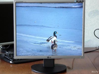 Лот: 8741555. Фото: 1. LG Flatron L1953S. ЖК-мониторы
