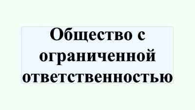 Лот: 16242134. Фото: 1. Отдам ООО. Другое (бизнес)