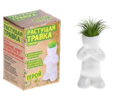 Лот: 8147990. Фото: 1. Растущая трава «Человечек герой... Сувенирные мелочи