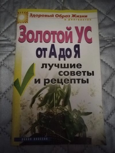 Лот: 21509233. Фото: 1. Книжка Золотой ус. Популярная и народная медицина