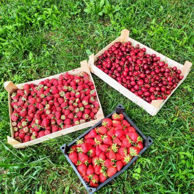 Лот: 20337170. Фото: 1. 🍓Клубника ящик 🔥 свежий привоз. Ягоды, орехи