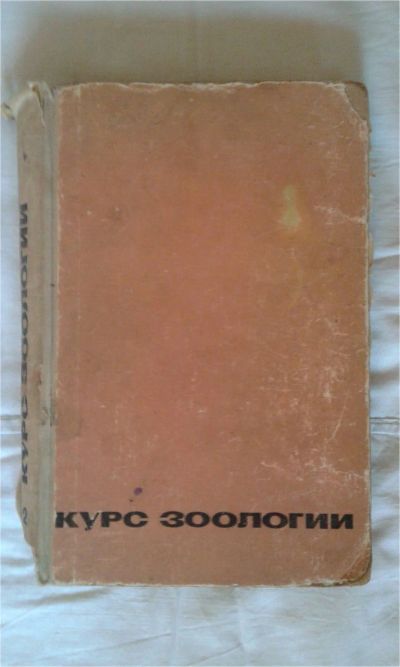 Лот: 7169937. Фото: 1. Зоология - том 2. Энциклопедии