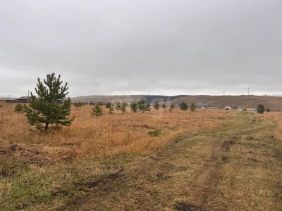 Лот: 25709539. Фото: 1. участок , Красноярск Красноярск... Земельные участки