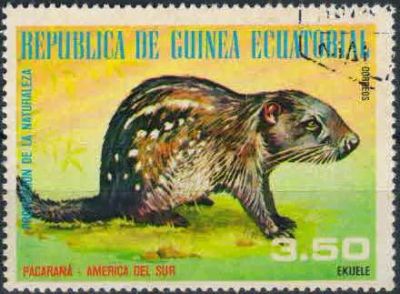 Лот: 21440453. Фото: 1. 1977. Экваториальная Гвинея. Животные... Марки