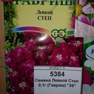 Лот: 9118175. Фото: 1. Семена / цветы / Левкой Степ... Садовые цветы