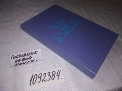 Лот: 25022035. Фото: 1. oz(1092384)Родин Николай. Остаюсь... Художественная