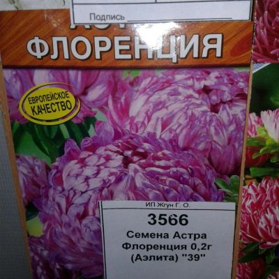 Лот: 9110984. Фото: 1. Семена / Астра Флоренция / 0,2... Садовые цветы