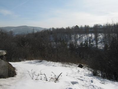 Лот: 13276656. Фото: 1. участок в студгородке. Дома