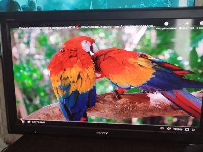 Лот: 20564279. Фото: 1. С 1 рубля Телевизор sony bravia... Телевизоры