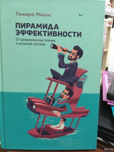 Лот: 13216333. Фото: 1. Тамара Майлс "Пирамида эффективности... Менеджмент