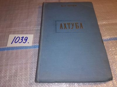 Лот: 18389945. Фото: 1. Бессонов Илья. Ахтуба. Роман... Художественная