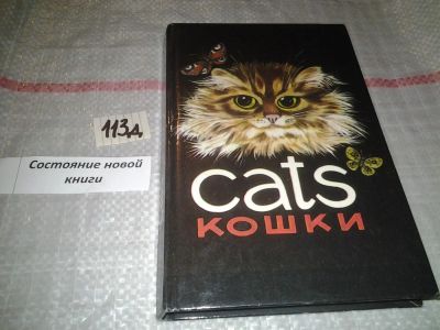 Лот: 7282179. Фото: 1. Cats, Кошки (113). Домашние животные