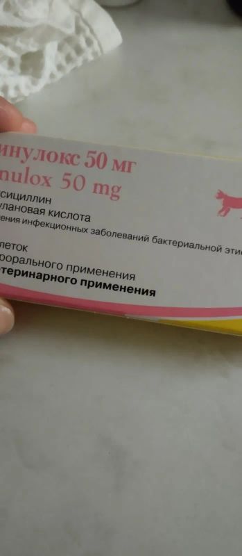 Лот: 20945685. Фото: 1. Синулокс. Косметика для животных
