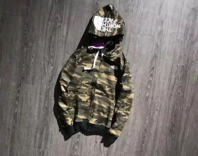 Лот: 10270627. Фото: 1. Hoodie \ Худи The North Face. Свитеры, толстовки, худи