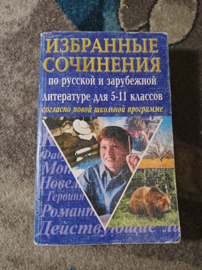Лот: 25356121. Фото: 1. Избранные сочинения по литературе... Для школы