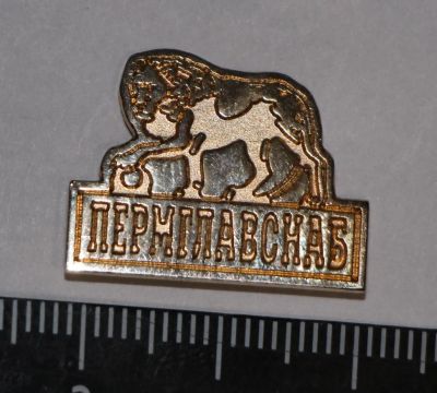 Лот: 11241347. Фото: 1. Тяжелый значок: ОАО Пермглавснаб... Сувенирные