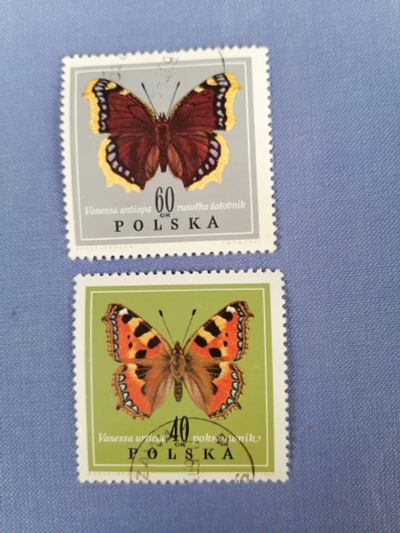 Лот: 24985476. Фото: 1. Насекомые бабочки Польша. Марки