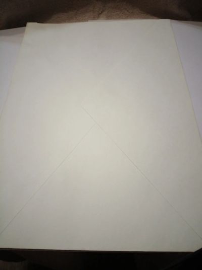 Лот: 18378317. Фото: 1. Конверт 23см на 32см. Открытки, конверты