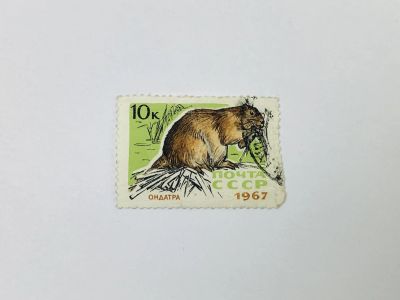 Лот: 23594346. Фото: 1. Пушные промысловые звери. Ондатра... Марки