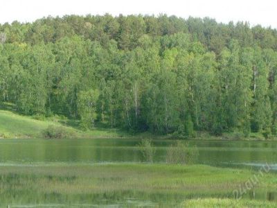 Лот: 1239216. Фото: 1. Продам 3-х комн в пос. Таскино... Квартиры, студии