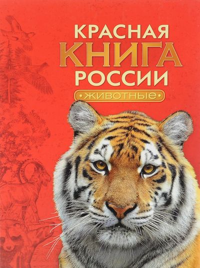 Лот: 17542237. Фото: 1. "Красная книга России. Животные... Другое (справочная литература)