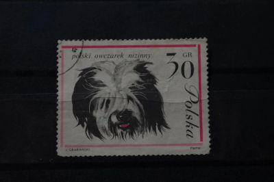 Лот: 3932552. Фото: 1. марка 55 Польша фауна собаки. Марки