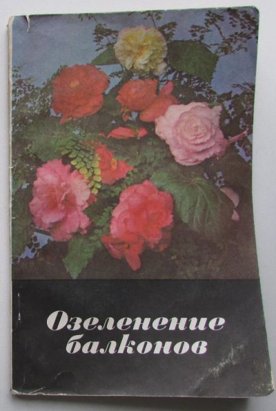 Лот: 24689622. Фото: 1. Озеленение балконов. Чернецкая... Другое (дом, сад, досуг)