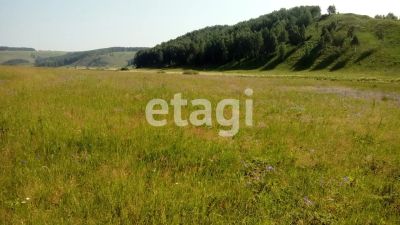 Лот: 25289077. Фото: 1. участок , деревня Толстомысово... Земельные участки