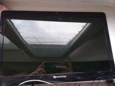 Лот: 16429760. Фото: 1. Дисплей для ноутбука acer, packard... Матрицы для дисплея