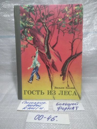 Лот: 25768071. Фото: 1. Озю, вбр, (00-46) Книга Гость... Художественная для детей