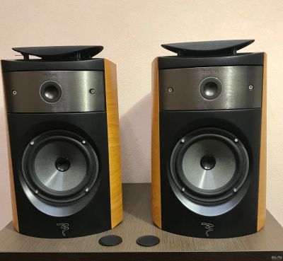 Лот: 15154573. Фото: 1. Focal Electra 1007S. Пассивные акустические системы