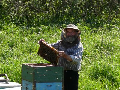 Лот: 6508885. Фото: 1. Разнотравный мёд с чистых лугов... Мёд, продукты пчеловодства