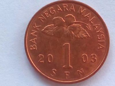 Лот: 19338407. Фото: 1. Монета Малайзии 1 сен, 2003. Азия