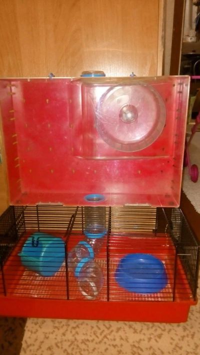 Лот: 10754563. Фото: 1. Клетка для хомяка с лабиринтом... Домики, переноски, клетки, когтеточки