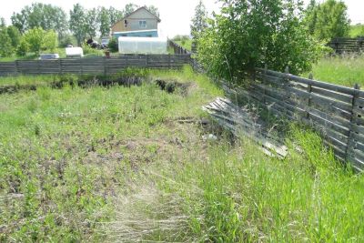 Лот: 10362507. Фото: 1. Участок 15 сот. в Емельяново ИЖС. Земельные участки