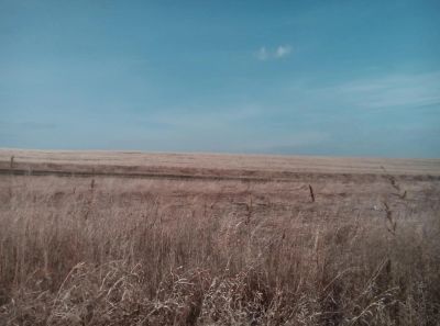 Лот: 1621698. Фото: 1. Дачный земельный участок около... Дачи